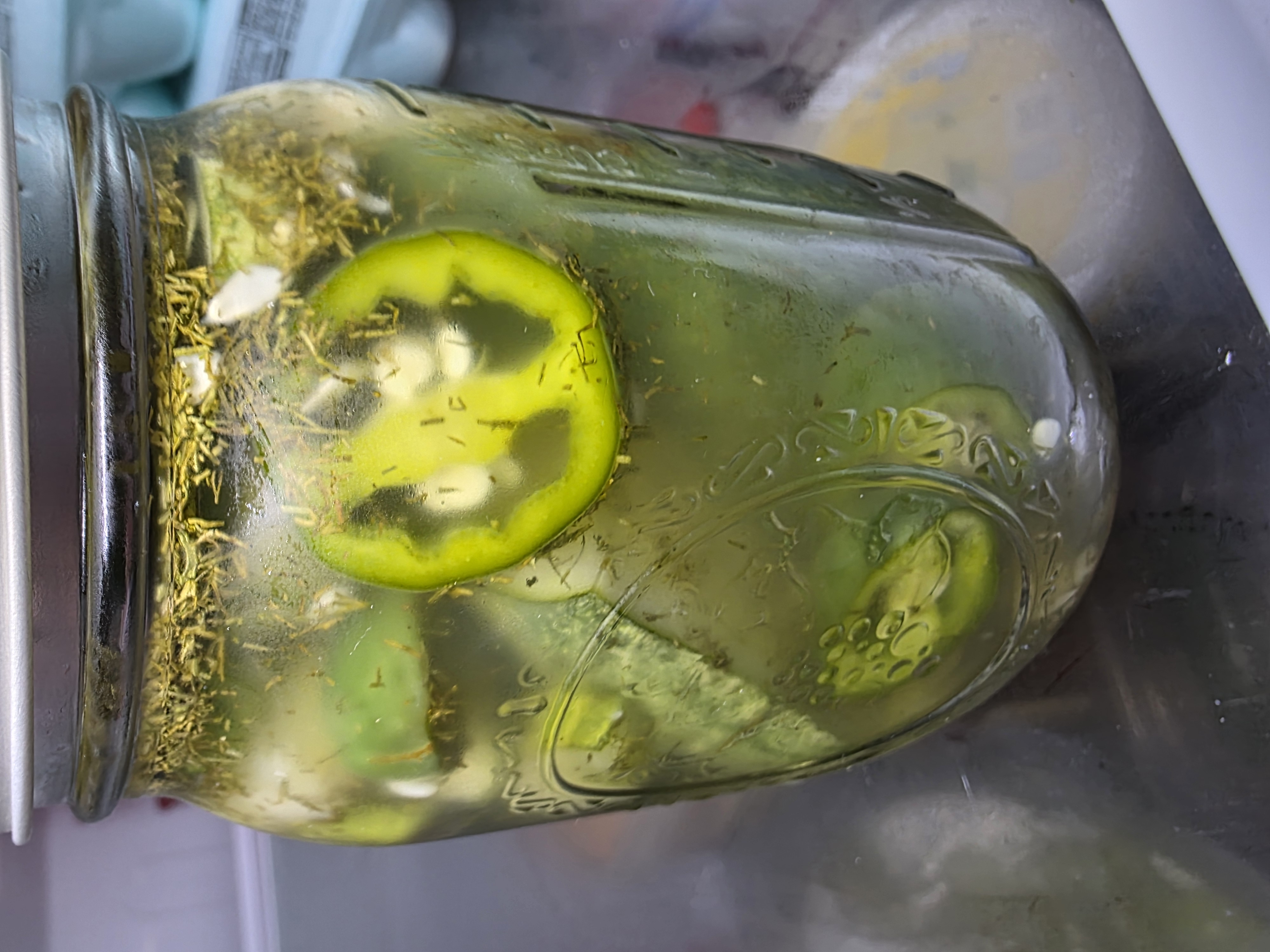 Homemade Refrigerator Pickles – Garden Fresh
